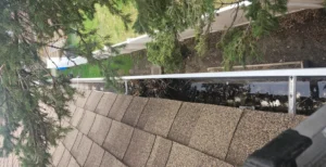 Gutter-cleaning-service-in-Chicago-IL
